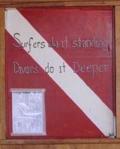 Sea Horse Dive Center