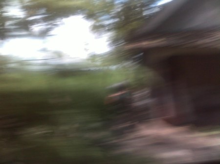 Countryside flying by