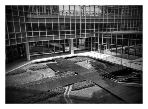 IMG_20150603_130947_HDR-EFFECTS-001