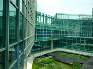 IMG_20150604_142534_HDR-001